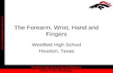 The Forearm, Wrist, Hand and Fingers Westfield High School Houston, Texas.