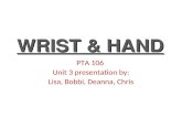 WRIST & HAND PTA 106 Unit 3 presentation by: Lisa, Bobbi, Deanna, Chris.