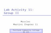 Lab Activity 11: Group II Muscles Martini Chapter 11 Portland Community College BI 231.