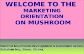 WELCOME TO THE MARKETING ORIENTATION ON MUSHROOM National Mushroom Development & Extension Center, Sobahan bag, Savar, Dhaka.
