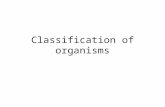 Classification of organisms. Whittaker’s 5 kingdoms Organisms Monera Prokaryotes | Unicellular Protista Eukaryotes | Unicellular Fungi Eukaryotes | Multicellular.