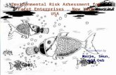 Environmental Risk Assessment for “Facet Enterprises”, New York, USA Presentation by Marie, Seun, and Deb.