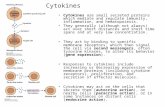 Cytokines Cytokines are small secreted proteins which mediate and regulate immunity, inflammation, and hematopoiesis. They generally (although not always)