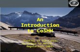 Production planning - 1 - An Introduction to CoSHH (Control of Substances Hazardous to Health Regulations,2004)