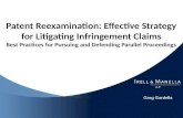 Greg Gardella Patent Reexamination: Effective Strategy for Litigating Infringement Claims Best Practices for Pursuing and Defending Parallel Proceedings.