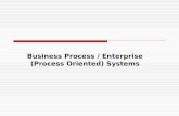 Business Process / Enterprise (Process Oriented) Systems.