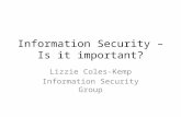 Information Security – Is it important? Lizzie Coles-Kemp Information Security Group.