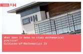 What does it mean to study mathematical practice? Cultures of Mathematics IV .