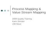 Process Mapping & Value Stream Mapping 2009 Quality Training Karin Stricker UW-Stout.