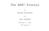 The BART Process by Kathy Kaufman and Joe Kordzi September 1, 2005 EPA Region 6.