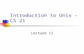 Introduction to Unix – CS 21 Lecture 11. Lecture Overview Shell Programming Variable Discussion Command line parameters Arithmetic Discussion Control.