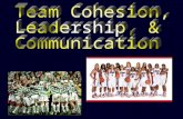 “ Team chemistry ” 3Group sticks together / remains united in pursuit of common goals 3Sense of belonging 3 Made up of: 3Task cohesion 3Social cohesion.