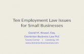 Ten Employment Law Issues for Small Businesses David M. Knasel, Esq. Dominion Business Law PLC Tysons Corner | Leesburg, VA .
