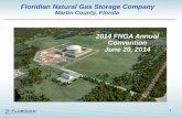 1 Floridian Natural Gas Storage Company Martin County, Florida 2014 FNGA Annual Convention June 20, 2014.