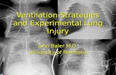 John Baier M.D. University of Manitoba Ventilation Strategies and Experimental Lung Injury.