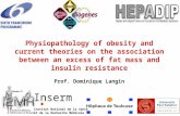 Inserm Institut National de la Santé et de la Recherche Médicale Physiopathology of obesity and current theories on the association between an excess of.