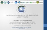 CCIWG Agency Update for NACP PI Meeting January 2015 Carbon Cycle Interagency Working Group (CCIWG) AGENCY UPDATES U.S. Carbon Cycle Science Program U.S.
