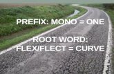 PREFIX: MONO = ONE ROOT WORD: FLEX/FLECT = CURVE.