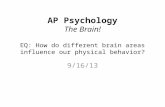 AP Psychology The Brain! EQ: How do different brain areas influence our physical behavior? 9/16/13.