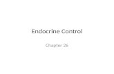 Endocrine Control Chapter 26. Endocrine System Major Components Hypothalamus Pituitary gland Pineal gland Thyroid gland Parathyroid glands Thymus gland.
