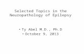 Selected Topics in the Neuropathology of Epilepsy Ty Abel M.D., Ph.D October 9, 2013.