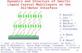 Dynamics and Structure of Smectic Liquid Crystal Multilayers at the Air/Water Interface P.Basnet * L.Zou * J.Wang * V.Beleva * A.Bernoff † J.Alexander.