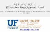 David Fuller Dept. of Physical Therapy McKnight Brain Institute University of Florida ddf@phhp.ufl.edu R03 and R21: When Are They Appropriate? GMS 6096:
