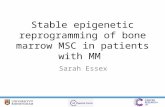 Stable epigenetic reprogramming of bone marrow MSC in patients with MM Sarah Essex.