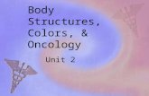 Body Structures, Colors, & Oncology Unit 2. Do you Know your Colors? chrom/o color(s)
