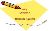 Chapter 3 Immune System Chapter 3 Immune System (Is)  Immune organs and immune tissues Central immune organs(primary lymphoid organs) Peripheral immune.