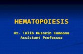 HEMATOPOIESIS Dr. Talib Hussein Kamoona Assistant Professor.