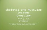 Skeletal and Muscular Systems Overview April 20, 2015 Sutherlin AST W. Crawford Adapted from “The Anatomy of Domesticated Animals” and the Colorado Agriscience.