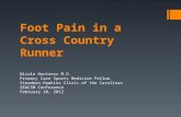 Foot Pain in a Cross Country Runner Nicole Huntress M.D. Primary Care Sports Medicine Fellow Steadman Hawkins Clinic of the Carolinas SEACSM Conference.