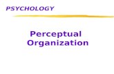 PSYCHOLOGY Perceptual Organization. Perceptual Illusions z.