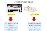Depth Perception Problem 2D images fall on our eyes but we perceive a 3D world! Solution Depth Perception Monocular Cues & Binocular Cues.
