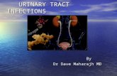 URINARY TRACT INFECTIONS URINARY TRACT INFECTIONS By By Dr Dave Maharajh MD Dr Dave Maharajh MD.