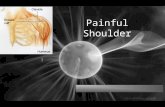 Painful Shoulder. Normal Anatomy Considerations The shoulder is the most mobile joint in the human body. The joint includes four tendons. The purpose.
