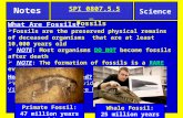 Notes SPI 0807.5.5 Fossils What Are Fossils?  Fossils are the preserved physical remains of deceased organisms that are at least 10,000 years old  NOTE: