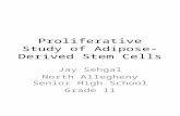 Proliferative Study of Adipose-Derived Stem Cells Jay Sehgal North Allegheny Senior High School Grade 11.