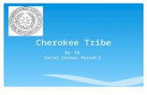 Cherokee Tribe By: EG Social Studies Period 2.  Lived in Appalachain Mountains.  Towns scattered in modern day North and South Carolina, Kentucky, Virginia,