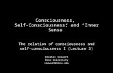 Consciousness, Self-Consciousness, and “Inner Sense” The relation of consciousness and self-consciousness I (Lecture 3) Charles Siewert Rice University.