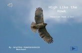 Hawaiian Hawk (´Io) High Like the Hawk By Jonathan Kamehanaokalā Merchant.