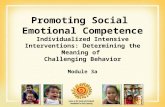 Promoting Social Emotional Competence Individualized Intensive Interventions: Determining the Meaning of Challenging Behavior Module 3a.