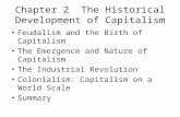 Chapter 2 The Historical Development of Capitalism Feudalism and the Birth of Capitalism The Emergence and Nature of Capitalism The Industrial Revolution.