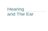 Hearing and The Ear. Armpit Story =) Types of Hearing Loss  The three types of hearing loss are: Conductive Sensori-neural Mixed.