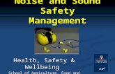 Noise and Sound Safety Management Health, Safety & Wellbeing School of Agriculture, Food and Wine.