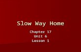 Slow Way Home Chapter 17 Unit 6 Lesson 1. Sunshine State Standard LA.910.4.2.2 The student will record information and ideas from primary and/or secondary.
