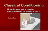 Classical Conditioning How do you get a dog to salivate when he hears a bell? Pavlov's Dog.