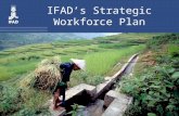IFAD’s Strategic Workforce Plan. The SWP in IFAD’s planning and performance management system The SWP is IFAD’s first exercise in planning human resources.