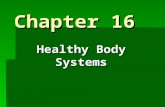 Chapter 16 Healthy Body Systems. The Cell  The smallest unit of structure in a living organism  Robert Hooke – Identified & coined the term “Cell” when.
